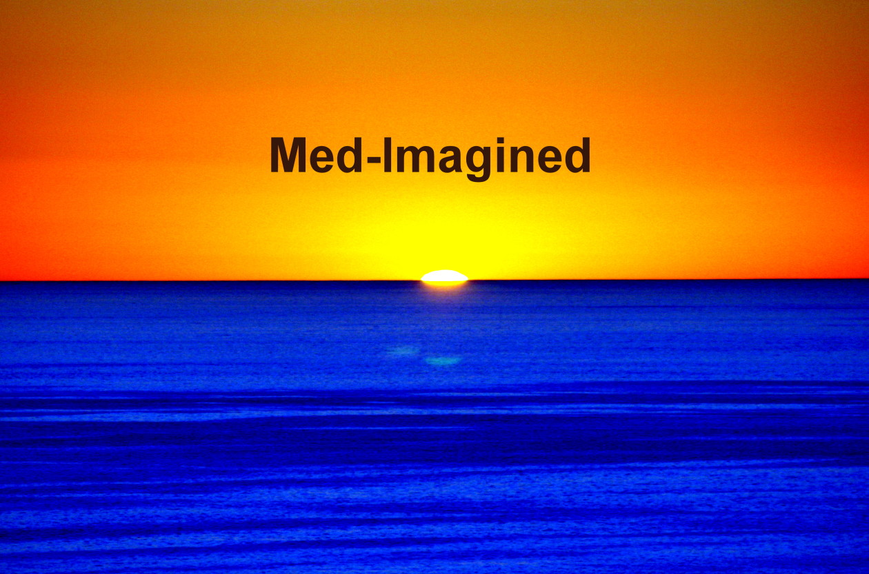 Med-Imagined
